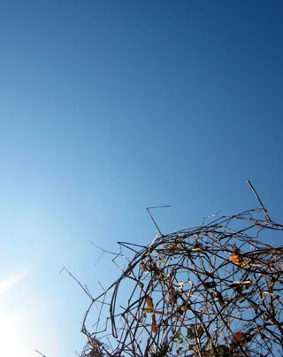 f:id:MSHIBATA:20130128073822j:image