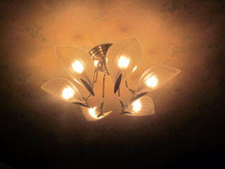 f:id:MSHIBATA:20130303163932j:image
