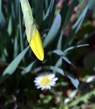 f:id:MSHIBATA:20130315193640j:image