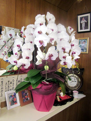 f:id:MSHIBATA:20130403183539j:image