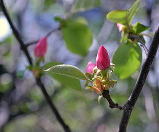 f:id:MSHIBATA:20130406040520j:image