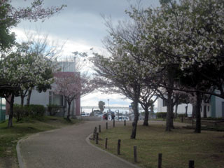 f:id:MSHIBATA:20130410003147j:image f:id:MSHIBATA:20130410003147j:image