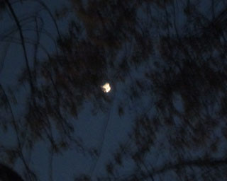 f:id:MSHIBATA:20130418050428j:image