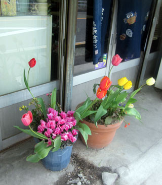 f:id:MSHIBATA:20130418194738j:image