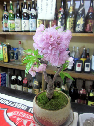 f:id:MSHIBATA:20130418194822j:image