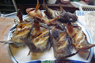 f:id:MSHIBATA:20130531060756j:image