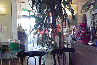 f:id:MSHIBATA:20130626085951j:image