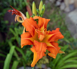 f:id:MSHIBATA:20130703024537j:image