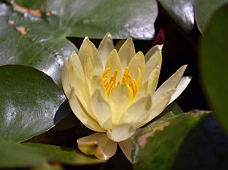 f:id:MSHIBATA:20130719054818j:image