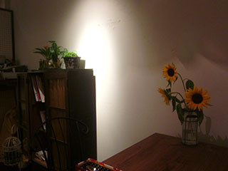f:id:MSHIBATA:20131015043021j:image