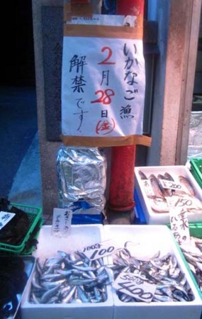 f:id:MSHIBATA:20140226053715j:image