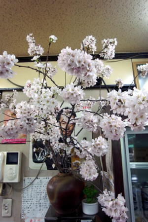 f:id:MSHIBATA:20140408112212j:image