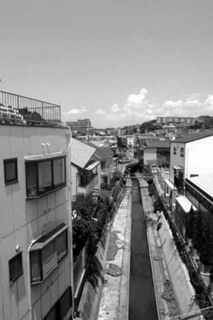 f:id:MSHIBATA:20140628071805j:image