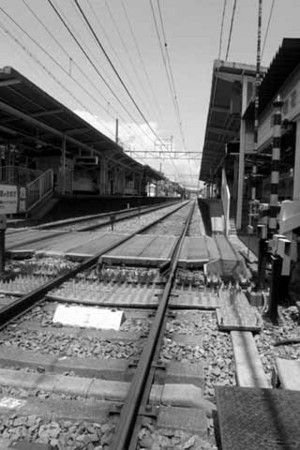 f:id:MSHIBATA:20140629074628j:image
