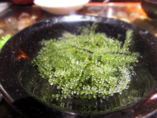 f:id:MSHIBATA:20141026081228j:image