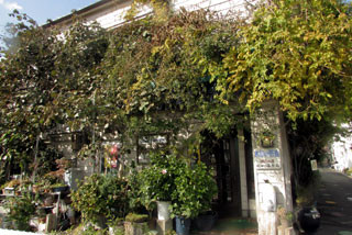 f:id:MSHIBATA:20141121103235j:image f:id:MSHIBATA:20141121103235j:image