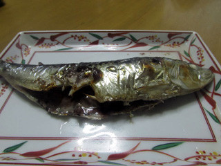f:id:MSHIBATA:20150204083035j:image