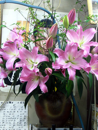 f:id:MSHIBATA:20150425065902j:image