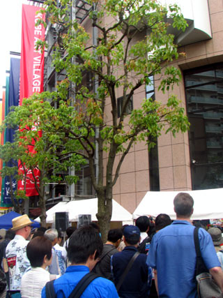 f:id:MSHIBATA:20150512022743j:image f:id:MSHIBATA:20150512022743j:image
