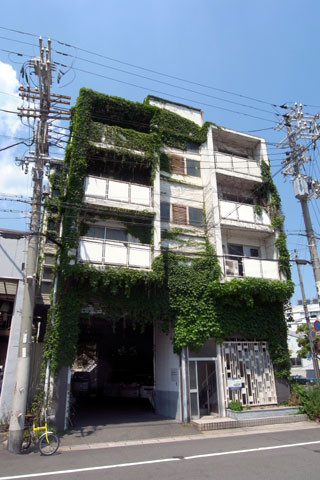 f:id:MSHIBATA:20150529161404j:image