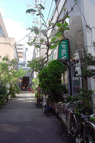 f:id:MSHIBATA:20150722043607j:image f:id:MSHIBATA:20150722043607j:image