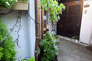 f:id:MSHIBATA:20150805130447j:image