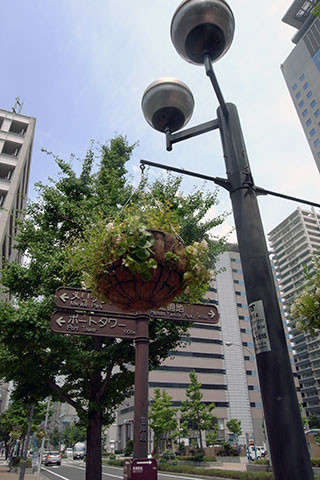 f:id:MSHIBATA:20150811065242j:image f:id:MSHIBATA:20150811065242j:image