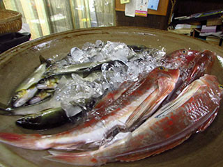 f:id:MSHIBATA:20150926064205j:image f:id:MSHIBATA:20150926064205j:image