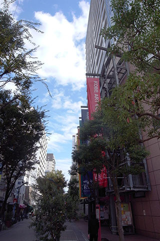 f:id:MSHIBATA:20151102061721j:image