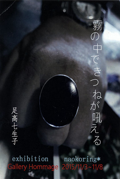 f:id:MSHIBATA:20151103082421j:image