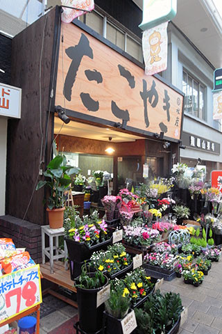 f:id:MSHIBATA:20151113095523j:image