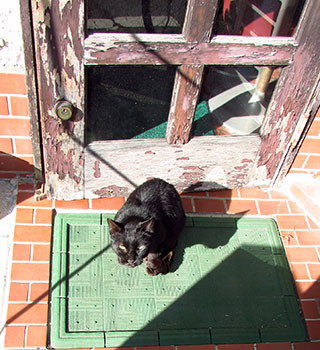 f:id:MSHIBATA:20160111051400j:image f:id:MSHIBATA:20160111051400j:image