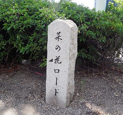 f:id:MSHIBATA:20160904061907j:image f:id:MSHIBATA:20160904061907j:image