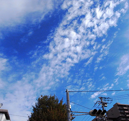 f:id:MSHIBATA:20161031095338j:image