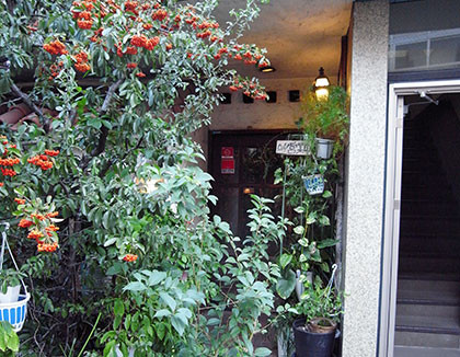 f:id:MSHIBATA:20161104102149j:image