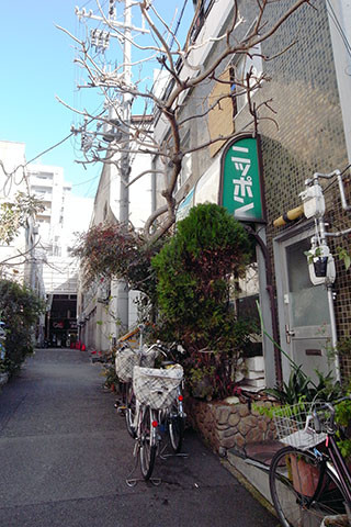 f:id:MSHIBATA:20170108034104j:image f:id:MSHIBATA:20170108034104j:image