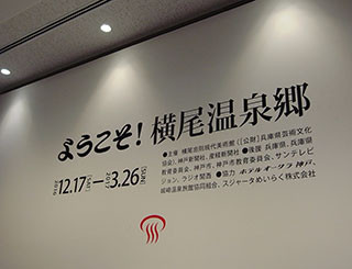 f:id:MSHIBATA:20170130034357j:image f:id:MSHIBATA:20170130034357j:image