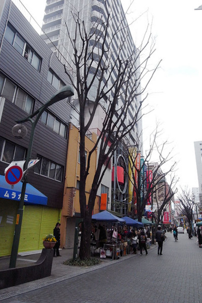 f:id:MSHIBATA:20170314070435j:image:w320