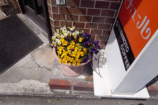f:id:MSHIBATA:20170417073013j:image