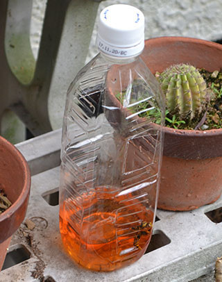 f:id:MSHIBATA:20170710035844j:image f:id:MSHIBATA:20170710035844j:image