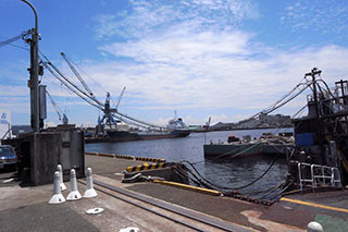 f:id:MSHIBATA:20170712061021j:image f:id:MSHIBATA:20170712061021j:image