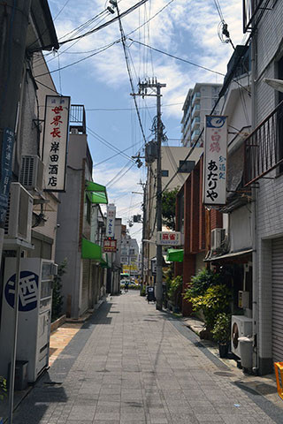 f:id:MSHIBATA:20170805182035j:image f:id:MSHIBATA:20170805182035j:image