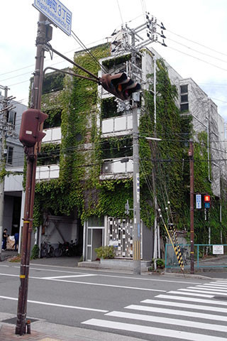 f:id:MSHIBATA:20170908191307j:image f:id:MSHIBATA:20170908191307j:image