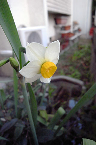 f:id:MSHIBATA:20180118163839j:image