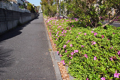 f:id:MSHIBATA:20180421155825j:image