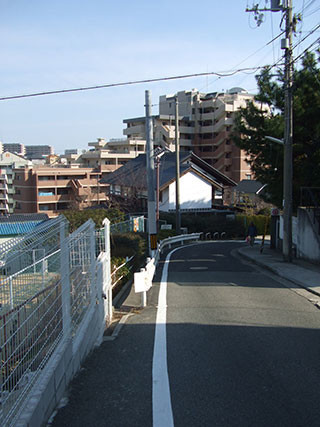 f:id:MSHIBATA:20191105063416j:plain f:id:MSHIBATA:20191105063416j:plain