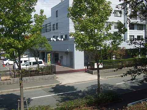 f:id:MSHIBATA:20211119044745j:plain