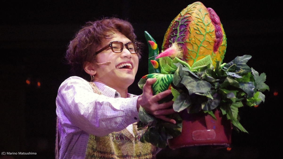 リトル ショップ オブ ホラーズ 観劇レポート 不思議な植物 を巡る 破天荒なホラー コメディ Musical Theater Japan