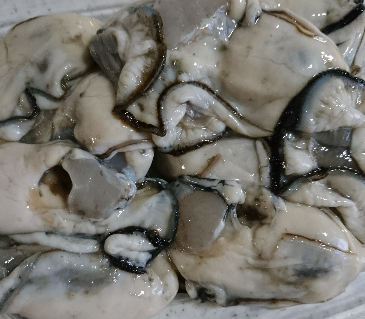 f:id:MUJI:20200325135010j:plain