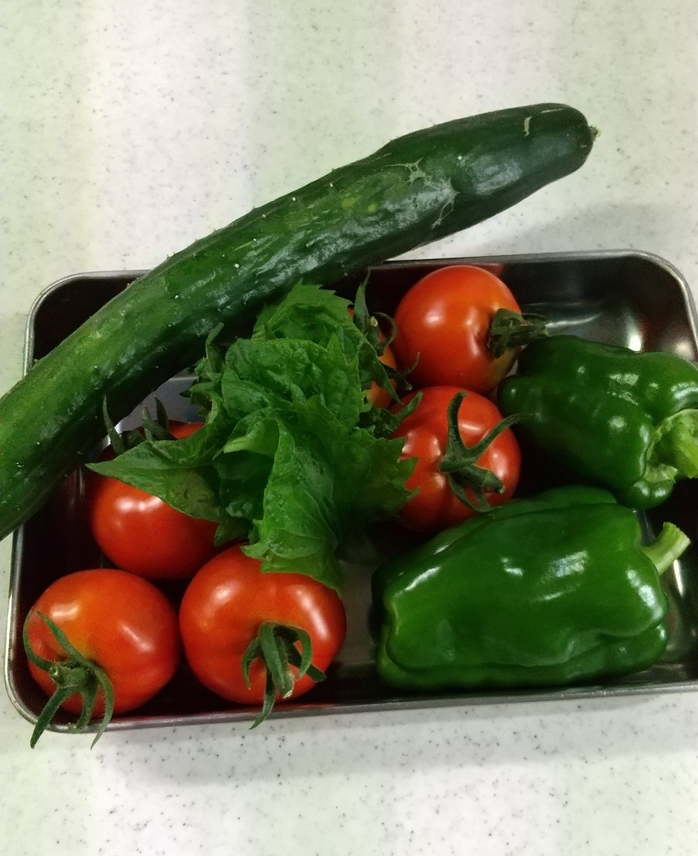 f:id:MUJI:20200707190013j:plain